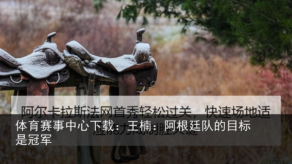 体育赛事中心下载：王楠：阿根廷队的目标是冠军