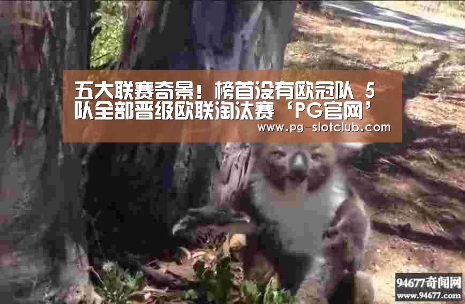 五大联赛奇景!榜首没有欧冠队 5队全部晋级欧联淘汰赛‘PG官网’(图2) PG电子游艺