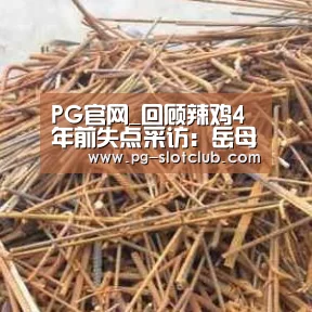 PG电子游艺